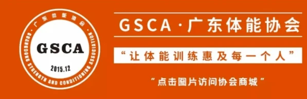 篮球教练如何制定总决赛的长期发展计划_0